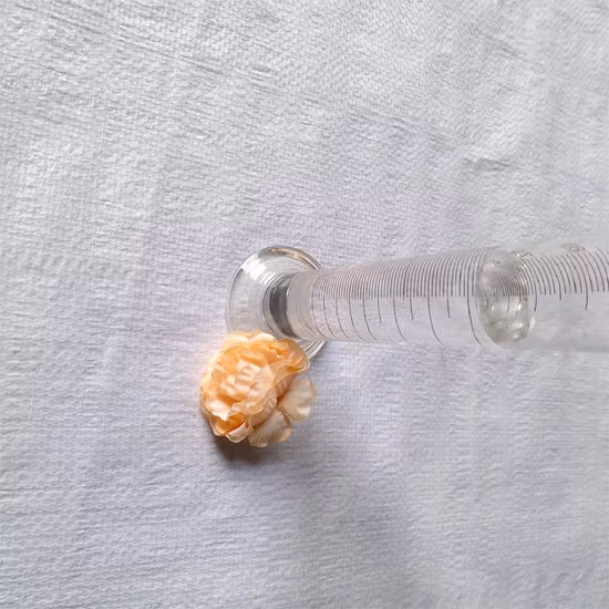 Manufacturer Supply High Quality CAS 5536-61-8 Sodium Methacrylate