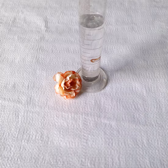 Manufacturer Supply High Quality CAS 5536-61-8 Sodium Methacrylate