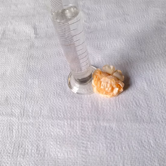 Manufacturer Supply High Quality CAS 5536-61-8 Sodium Methacrylate